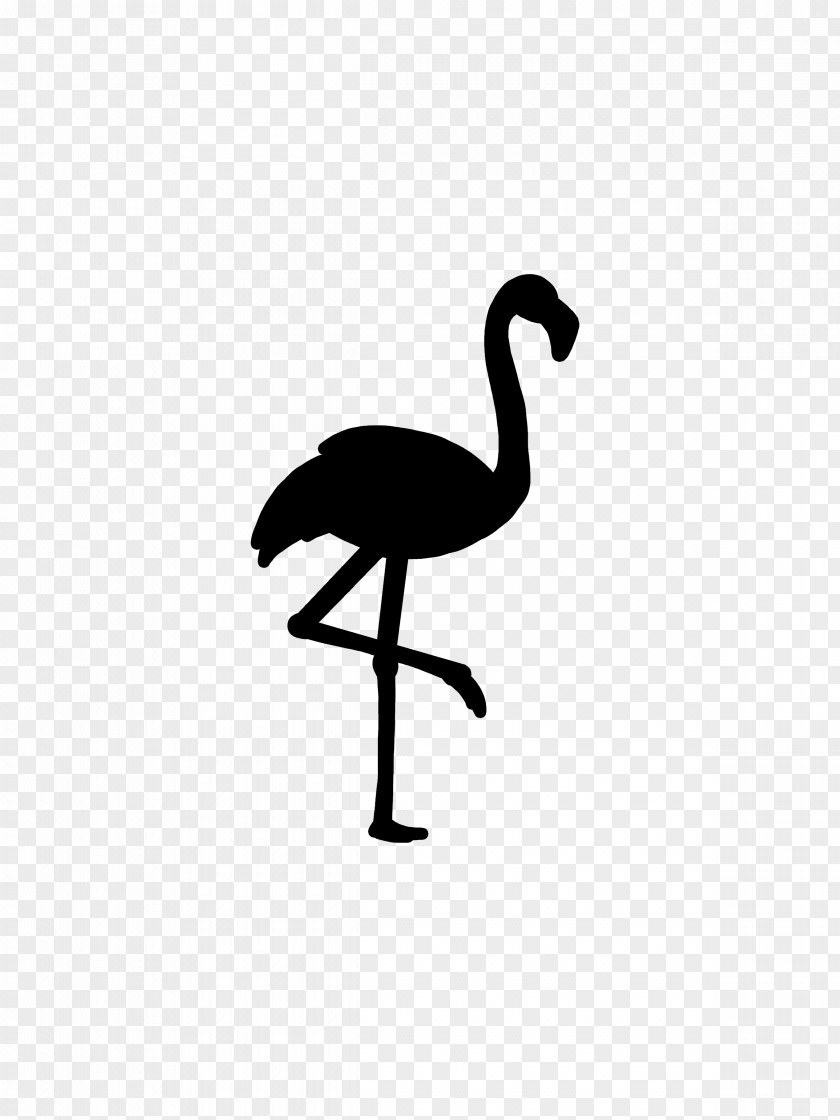 Bird Roblox Crane Pink Flamingo PNG