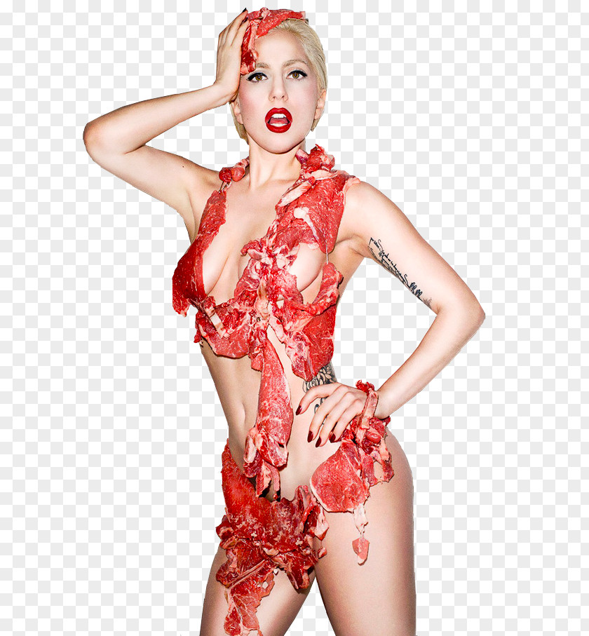 Glamour Clipart Lady Gaga's Meat Dress PNG