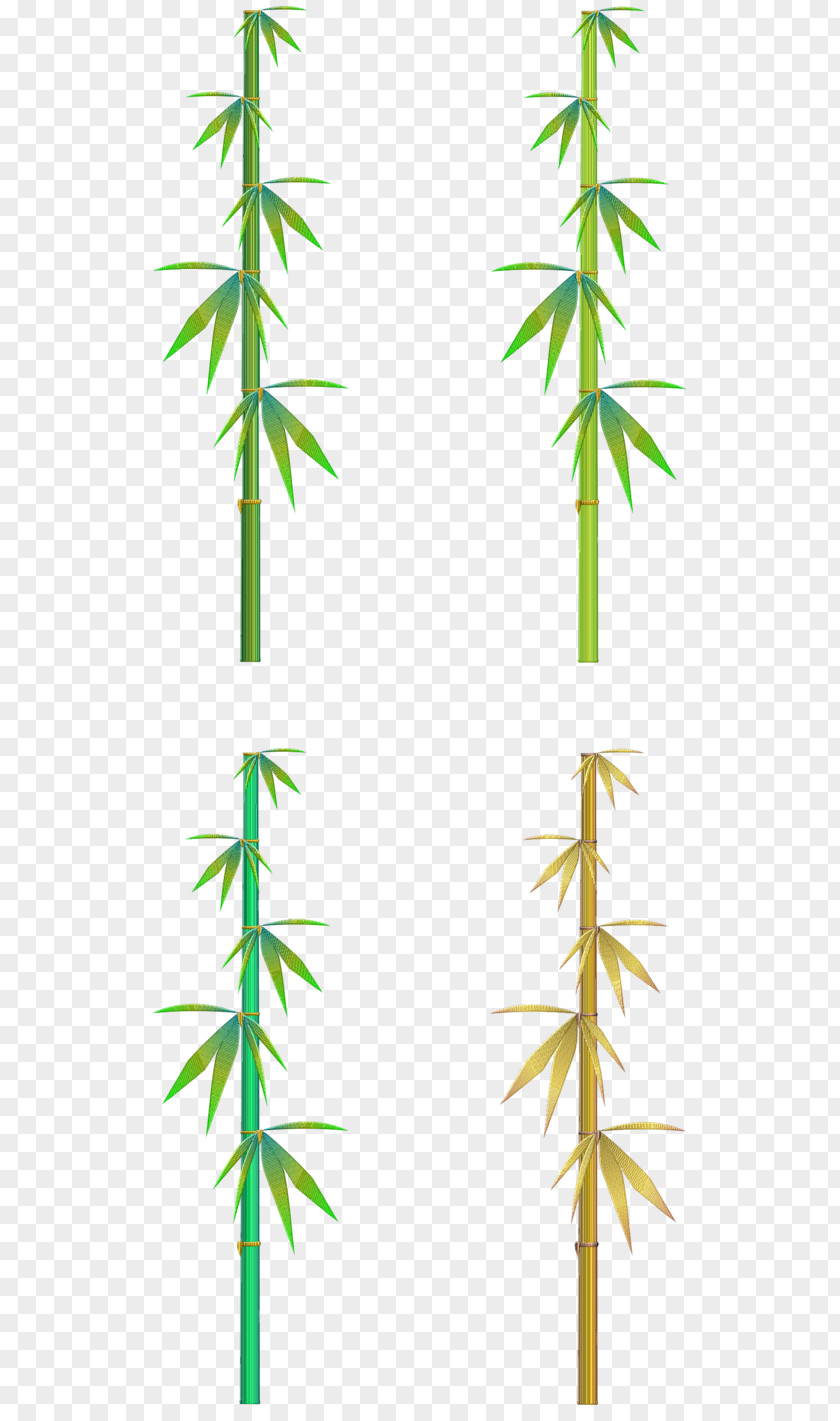 Jean Poster Bamboo Leaf Plants Clip Art PNG