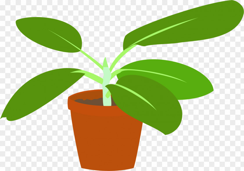 Leaf Flowerpot Plant Stem Clip Art PNG