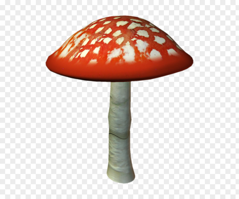 Mushroom Amanita Muscaria Fungus Clip Art PNG