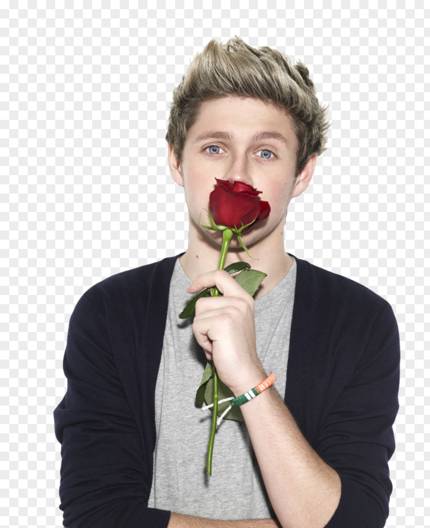 One Direction Niall Horan Photography Drag Me Down PNG