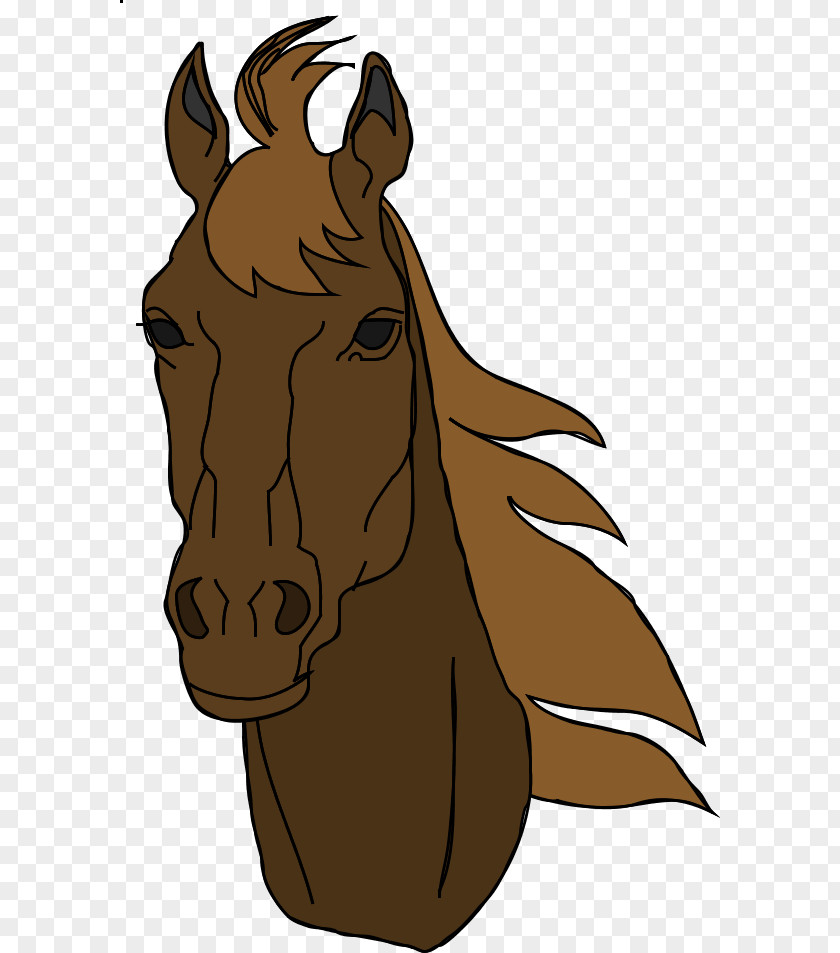 Small Horse Cliparts Mustang American Quarter Clydesdale Arabian Stallion PNG
