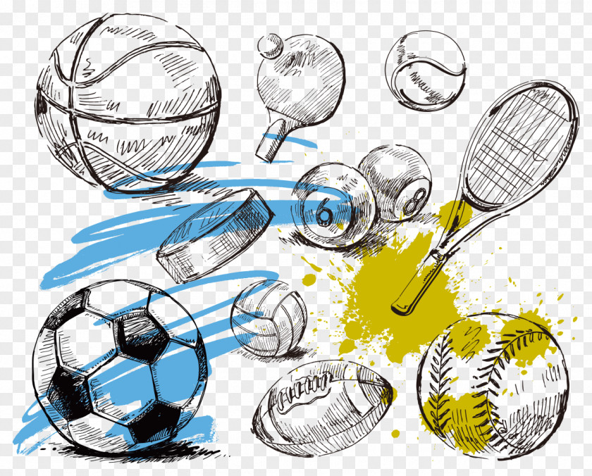 Sports Equipment Collection Vector Sport Ball Illustration PNG