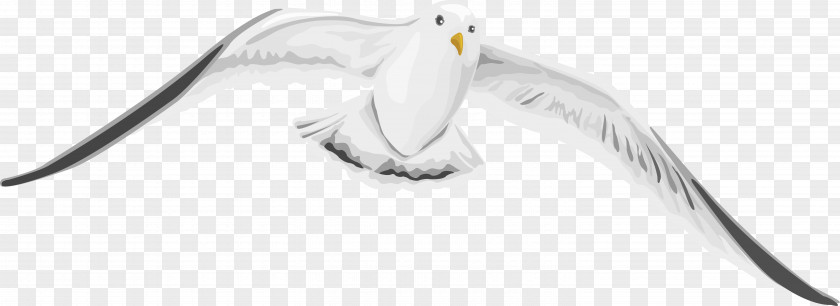 The Elegant Wild Goose Beak White Technology PNG