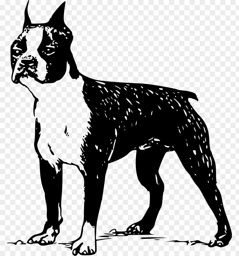 Cartoon Bull Terrier Boston French Bulldog Puppy Clip Art PNG