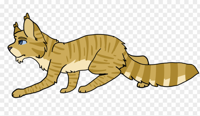 Cat Whiskers Wildcat Red Fox Mammal PNG
