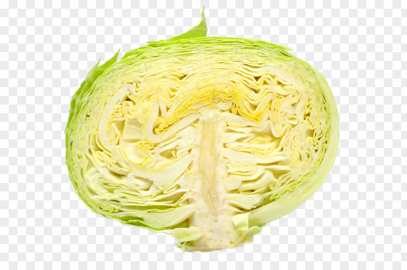 Cut Cabbage Vegetable Julienning Eating PNG