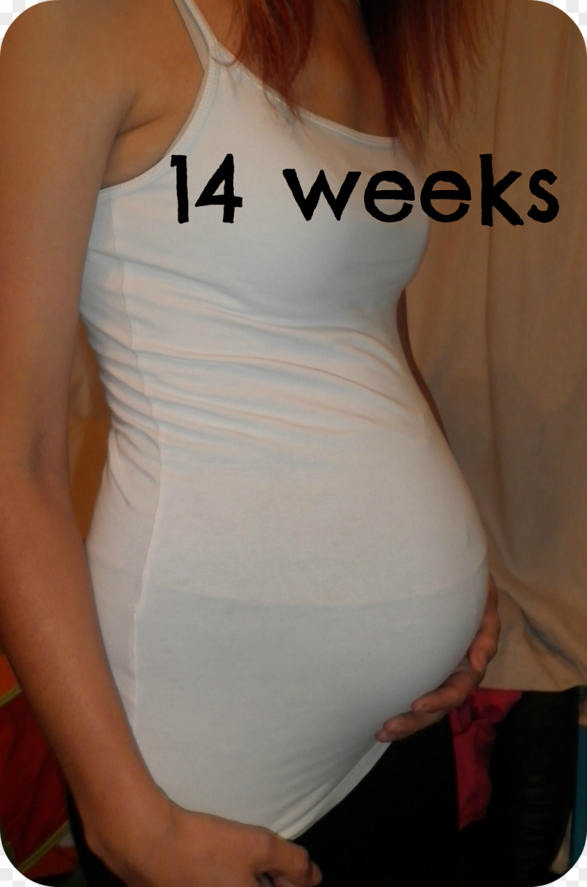 Pregnancy Abdomen Week 14 Of Fetus PNG