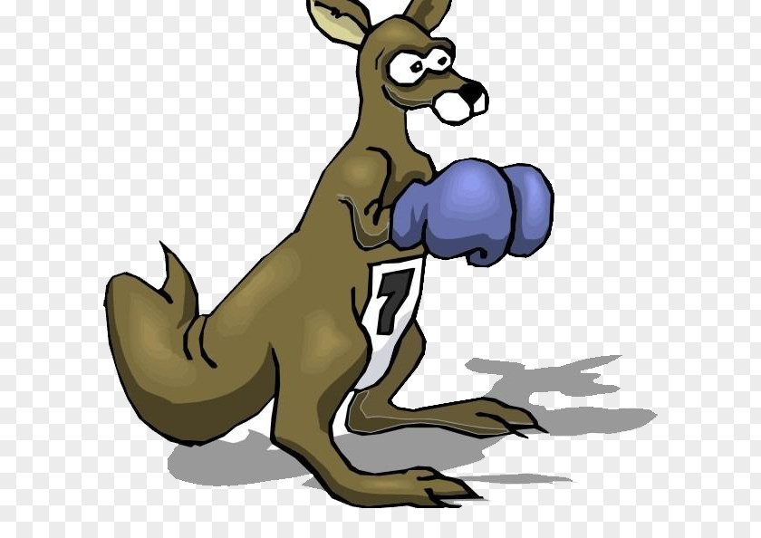 Kangaroo Boxer T-shirt Boxing Glove PNG