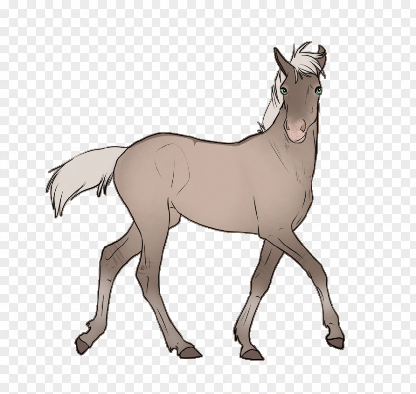 Mustang Mule Foal Stallion Colt Pony PNG