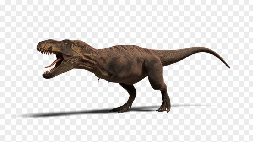 Recreation Director Resume Sample Tyrannosaurus Jurassic Park: Operation Genesis Ceratosaurus Velociraptor Dinosaur PNG
