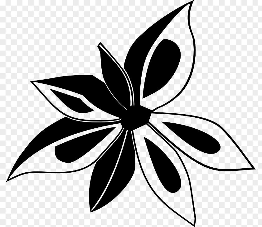 Star Line Art Anise Spice Clip PNG