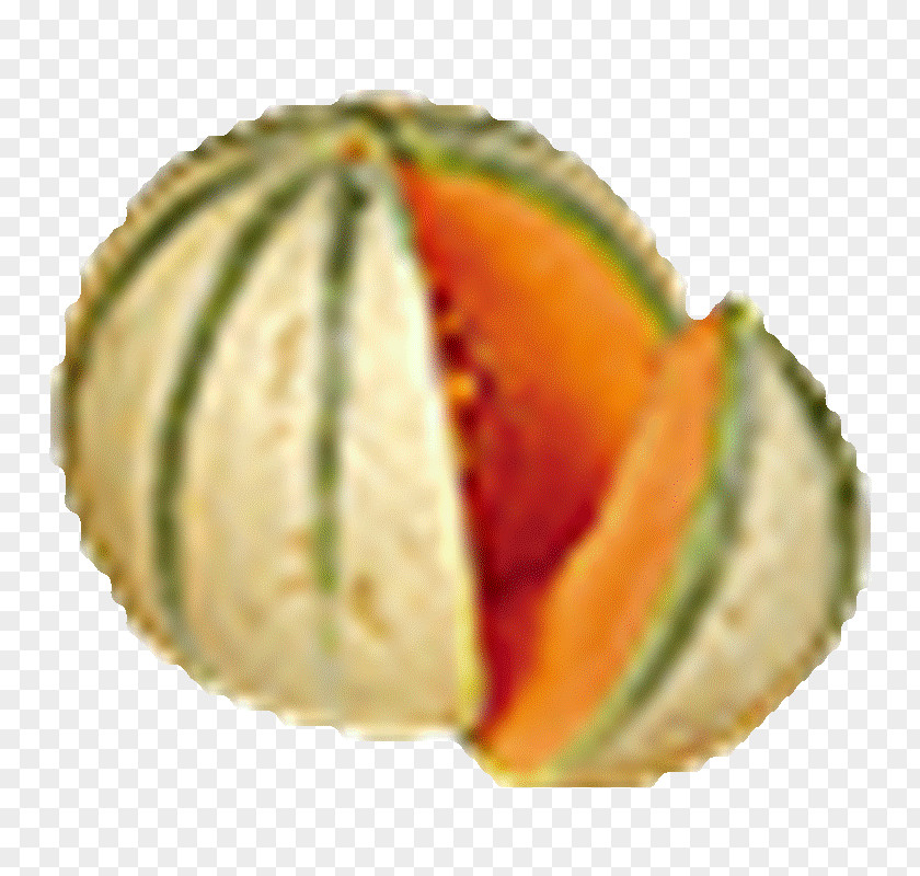 Vegetable Cavaillon Cantaloupe Charentais Melon PNG