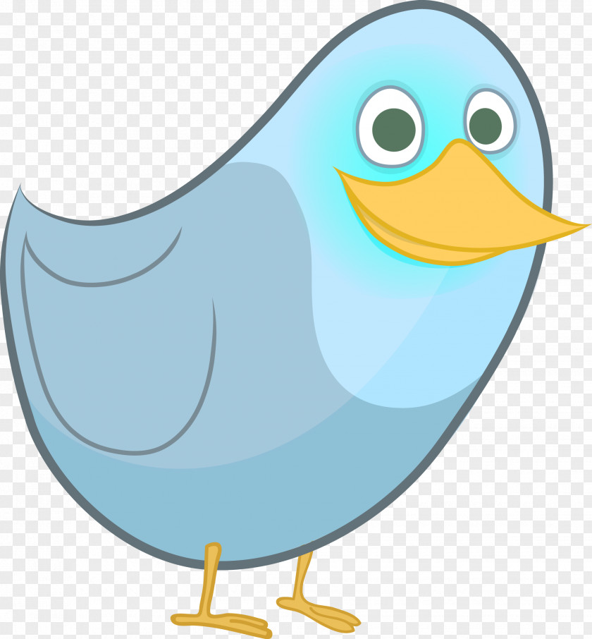 Birds Advertising Social Media Bird Business PNG