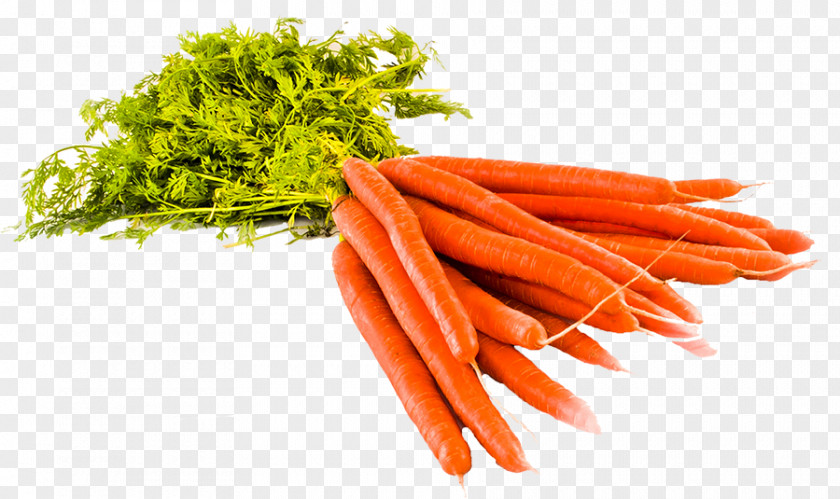 Carrot Baby Common Beet Plants Vegetable PNG