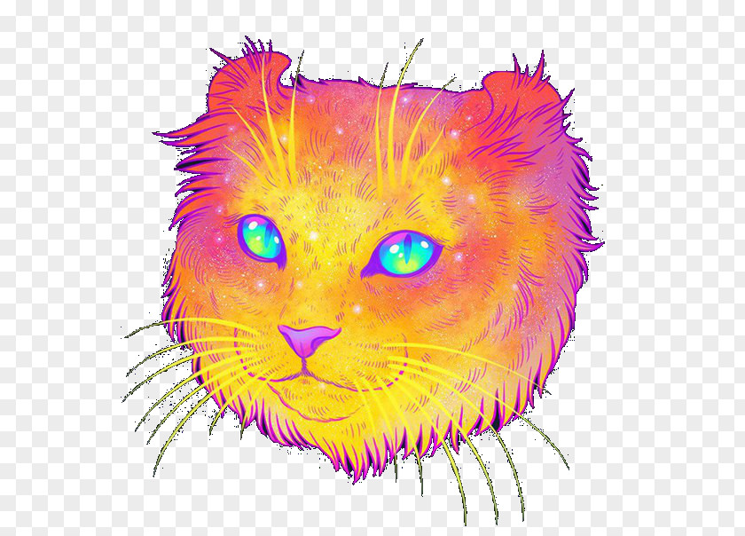 Cat Kitten Illustrator Felidae PNG