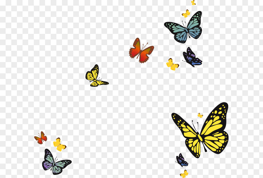 Colorful Butterfly Spring Environmental Protection Energy Conservation PNG