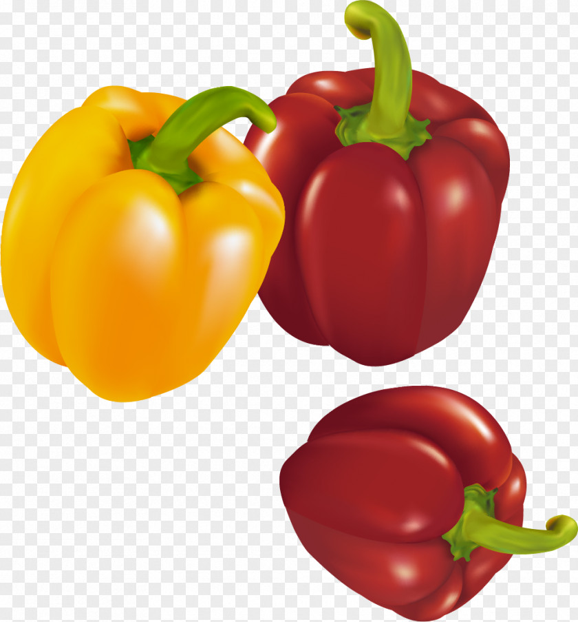 Colorful Pepper Decoration Pattern Habanero Red Bell Chili Yellow PNG