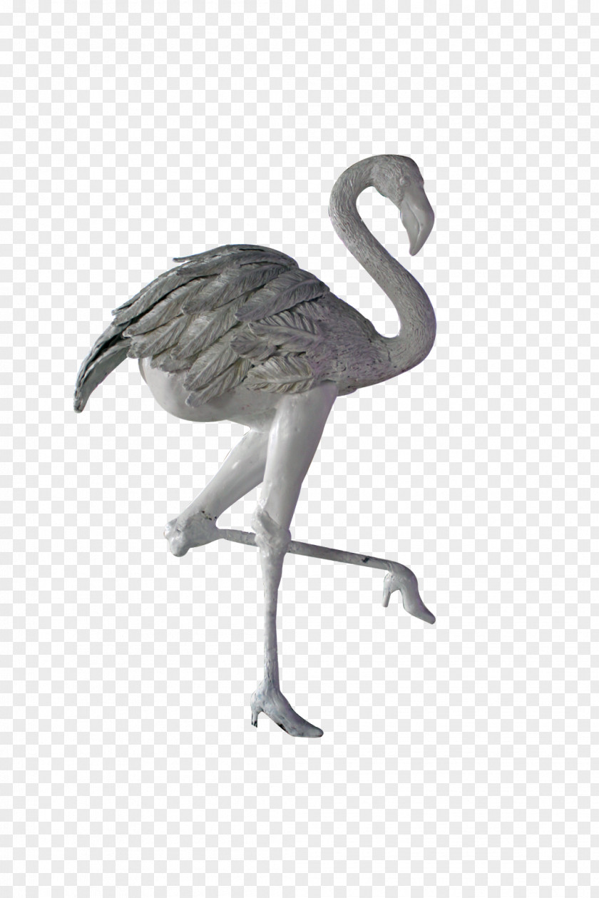 Flamingos Water Bird Common Ostrich Crane Goose PNG