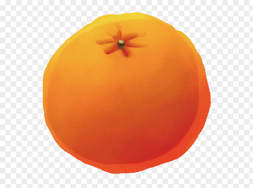 Hand Drawn 3d Cartoon Creative Fruit Orange Auglis PNG