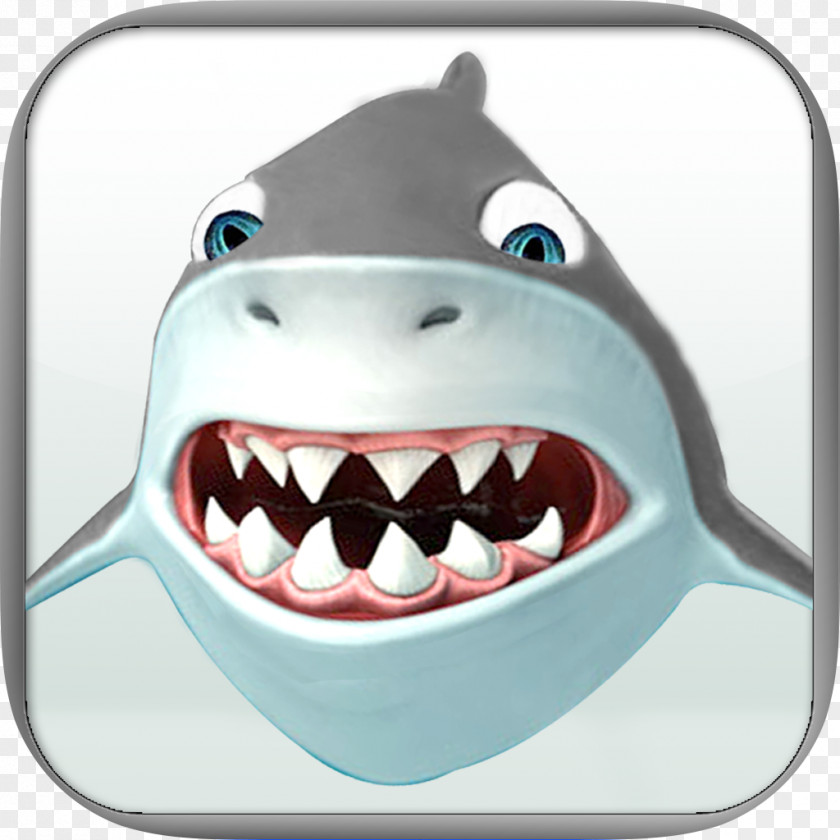 Shark Chondrichthyes Fish IPod Touch Tooth PNG