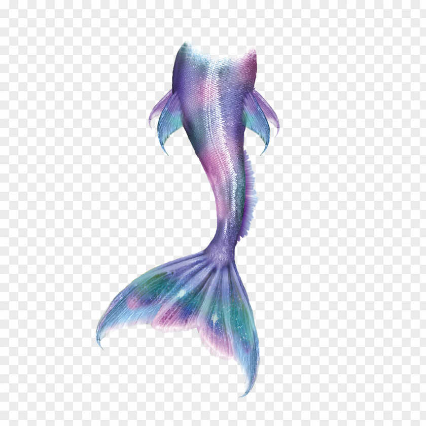 Beautiful Purple Blue Mermaid Tail Merman Legendary Creature Fairy Tale PNG