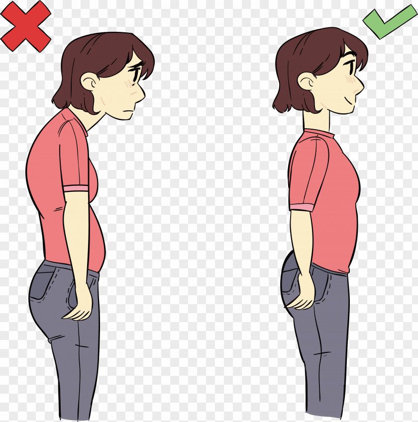 Correctly Stance Contrast Map Euclidean Vector Motion Asento PNG
