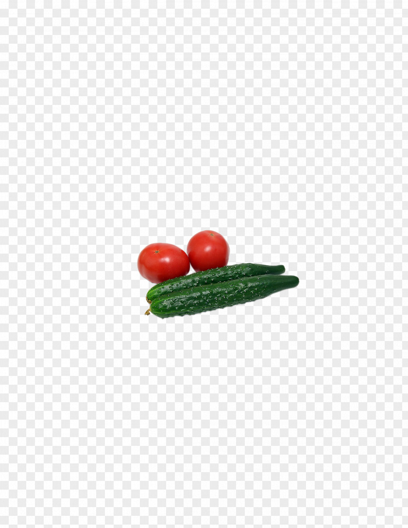 Cucumber Tomato Cherry Rectangle Silicone Kitchen Utensil Pattern PNG