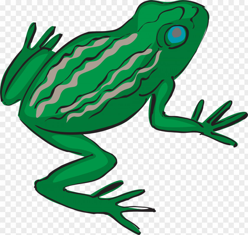 Frog Stencil PNG
