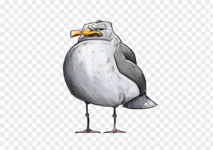 Goose European Herring Gull Gulls Bird Cygnini PNG