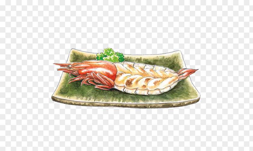 Lobster Hand Painting Material Picture Okinawa Prefecture Sashimi Food Illustration PNG