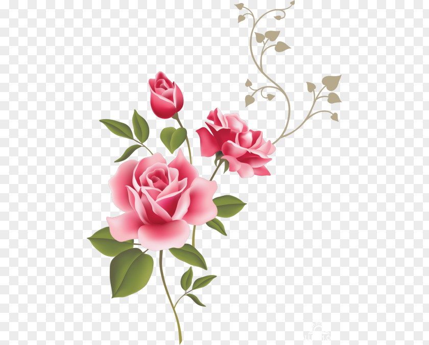 Rose Wall Decal Flower Gift Clip Art PNG