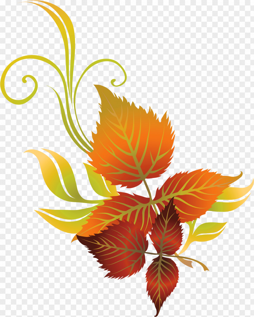 Summer Solstice Background Leaves Clip Art Autumn Leaf Color Vector Graphics PNG