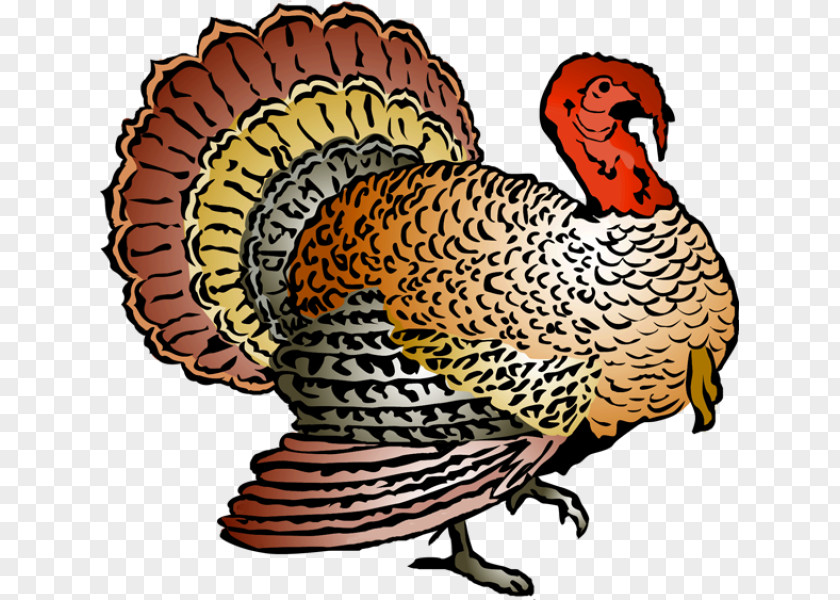 Turkey Fish Cliparts Meat Thanksgiving Clip Art PNG