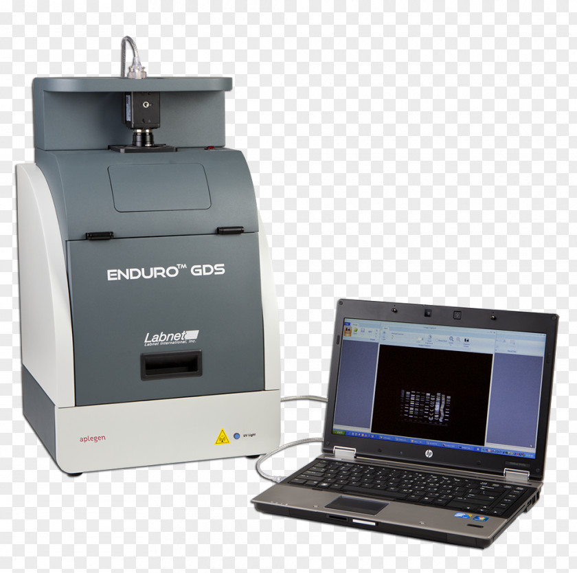 Biological Medicine Catalogue Gel Electrophoresis Polymerase Chain Reaction Agarose PNG