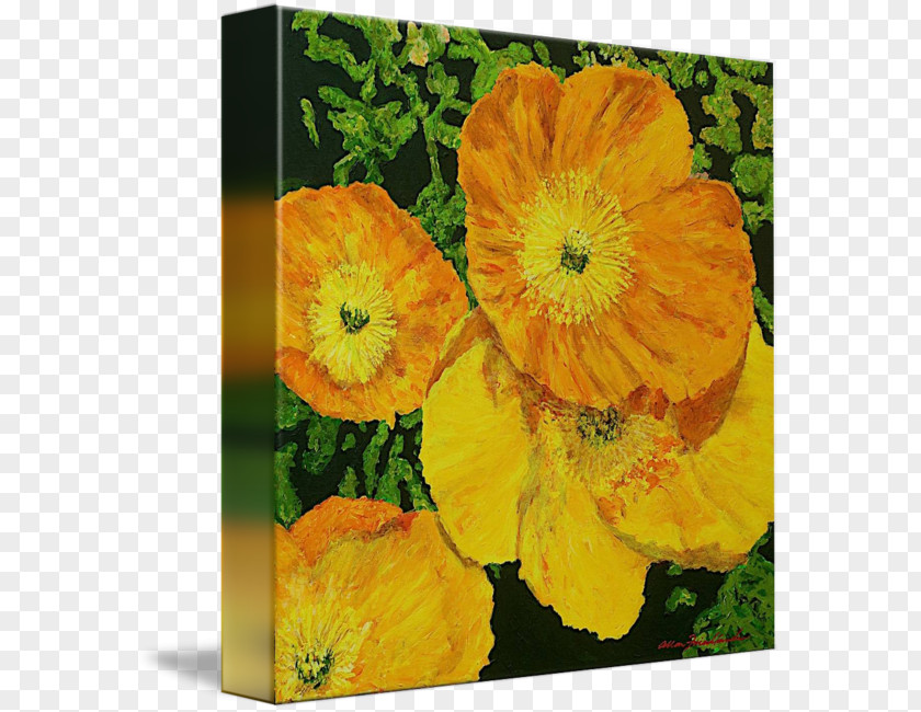 Blazing With Color Artwall Allan Friedlander 'blazing Glory' Gallery-Wrapped Canvas Gallery Wrap Glory By P. Hi End Print PNG