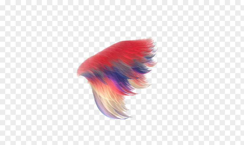Colored Feather Wings Creative Decorative Patterns Double Dragon Neon DeviantArt YouTube Stock Photography PNG