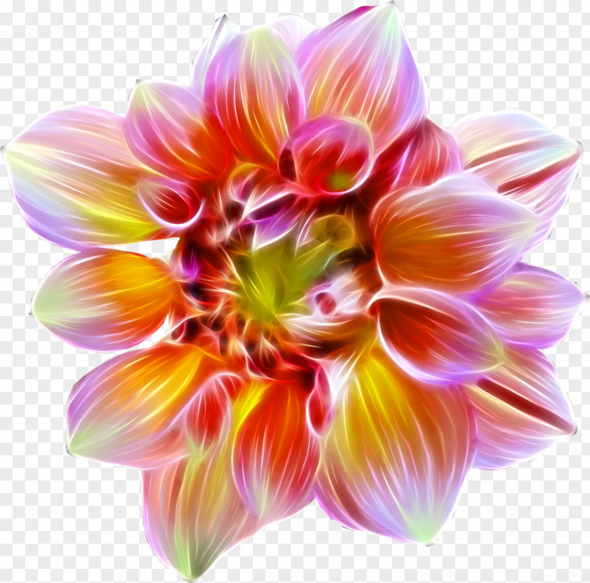 Dahlia Flower Watercolor Painting Floral Design Clip Art PNG