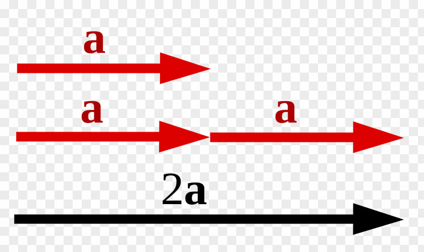 Dedication Scalar Multiplication Dot Product PNG