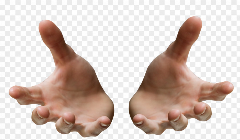 Hands 5 Hand Clip Art PNG