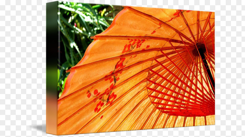 Japanese Umbrella Close-up Fan PNG