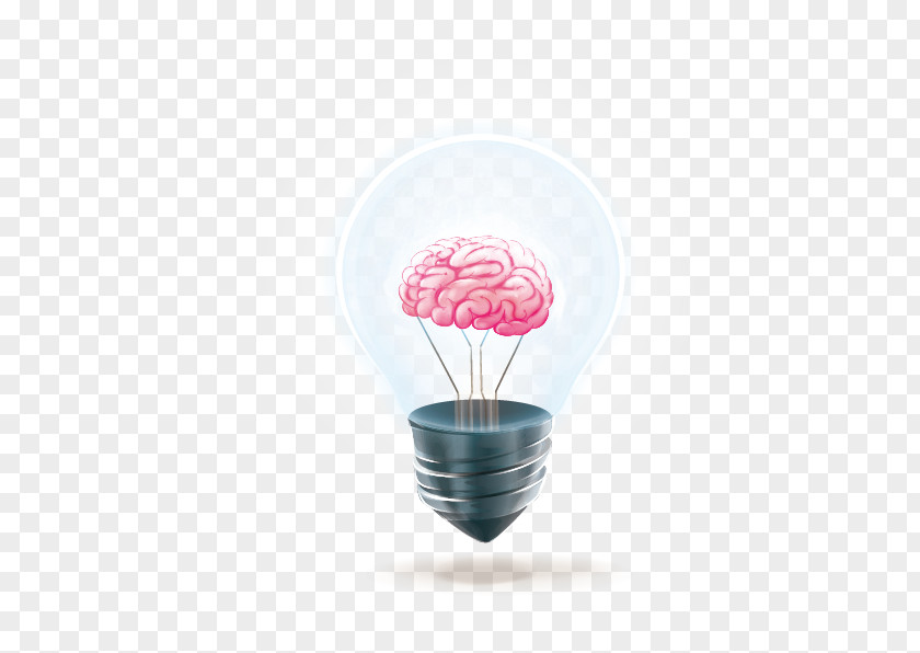 Brain Bulb Vector Incandescent Light Incandescence PNG