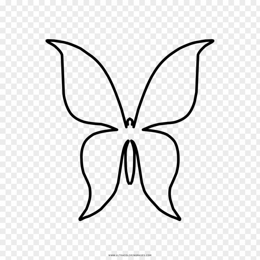 Butterfly Drawing Coloring Book Ailanthus Silkmoth PNG