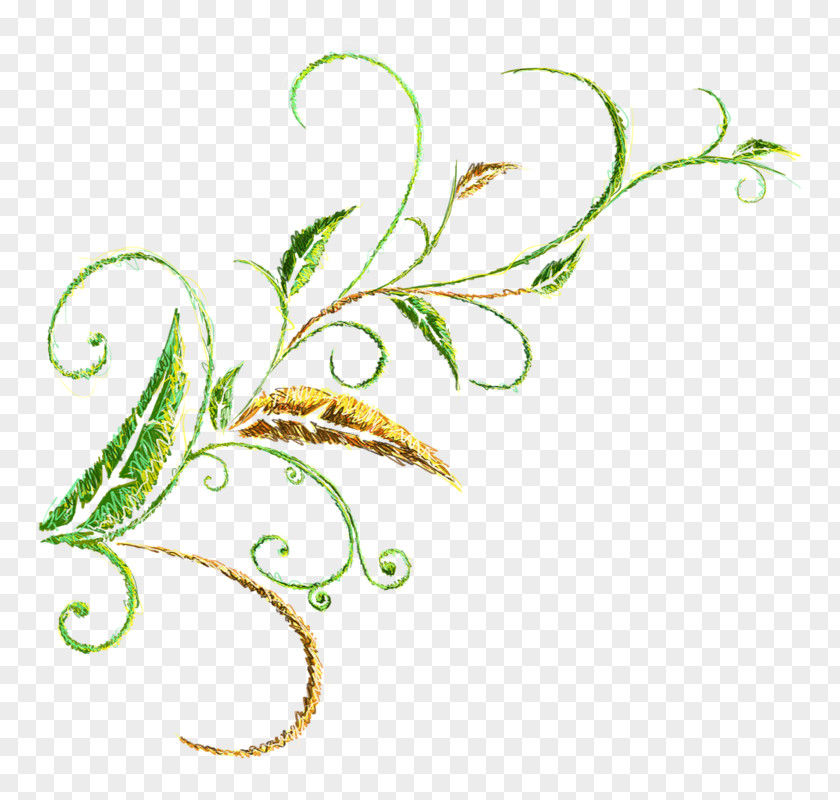 Clip Art Leaf Floral Design Plant Stem PNG