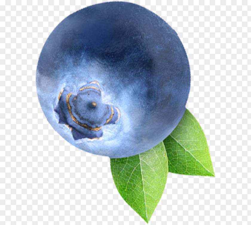 Delicious And Attractive Blueberry Bilberry Fruit PNG