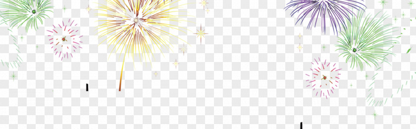 Fireworks Floral Design Interior Services Petal Wallpaper PNG