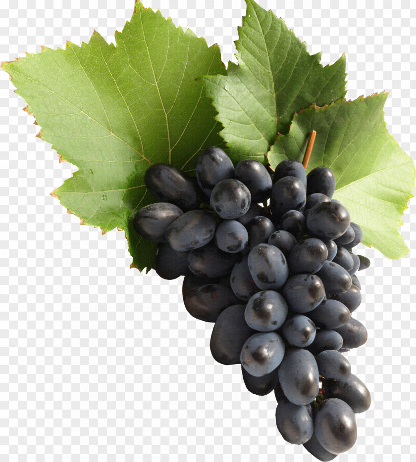 Grape Image Download, Free Picture Wallpaper PNG