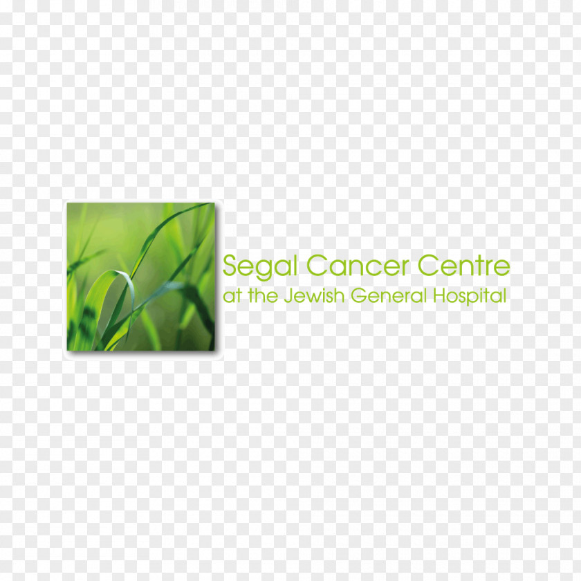 Mohan Segal Jewish General Hospital Cancer Prevention Oncology PNG