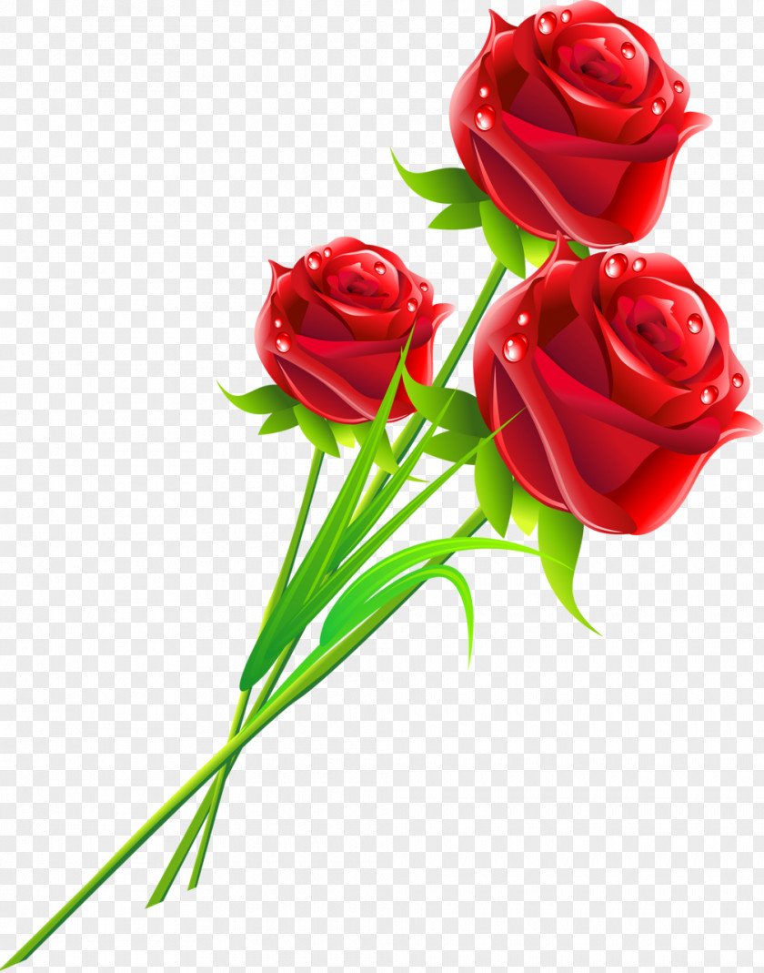 Rose Flower Love Gift Woman PNG